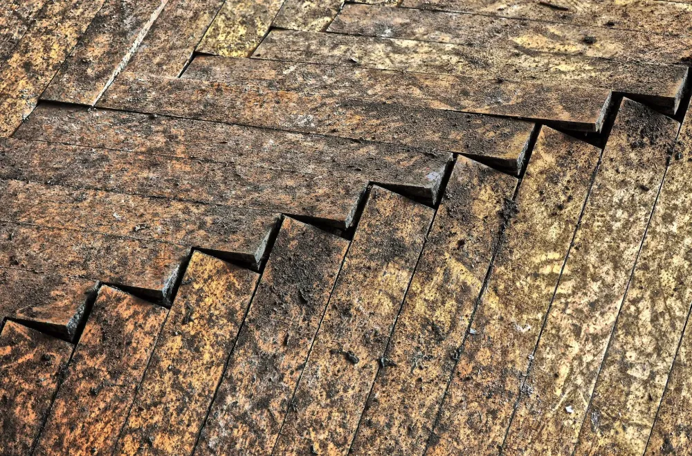 Fissures